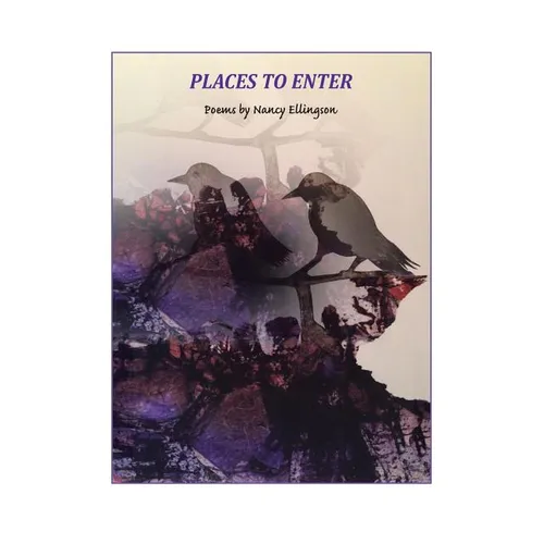 Places to Enter - Paperback