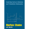 Markov Chains - Paperback