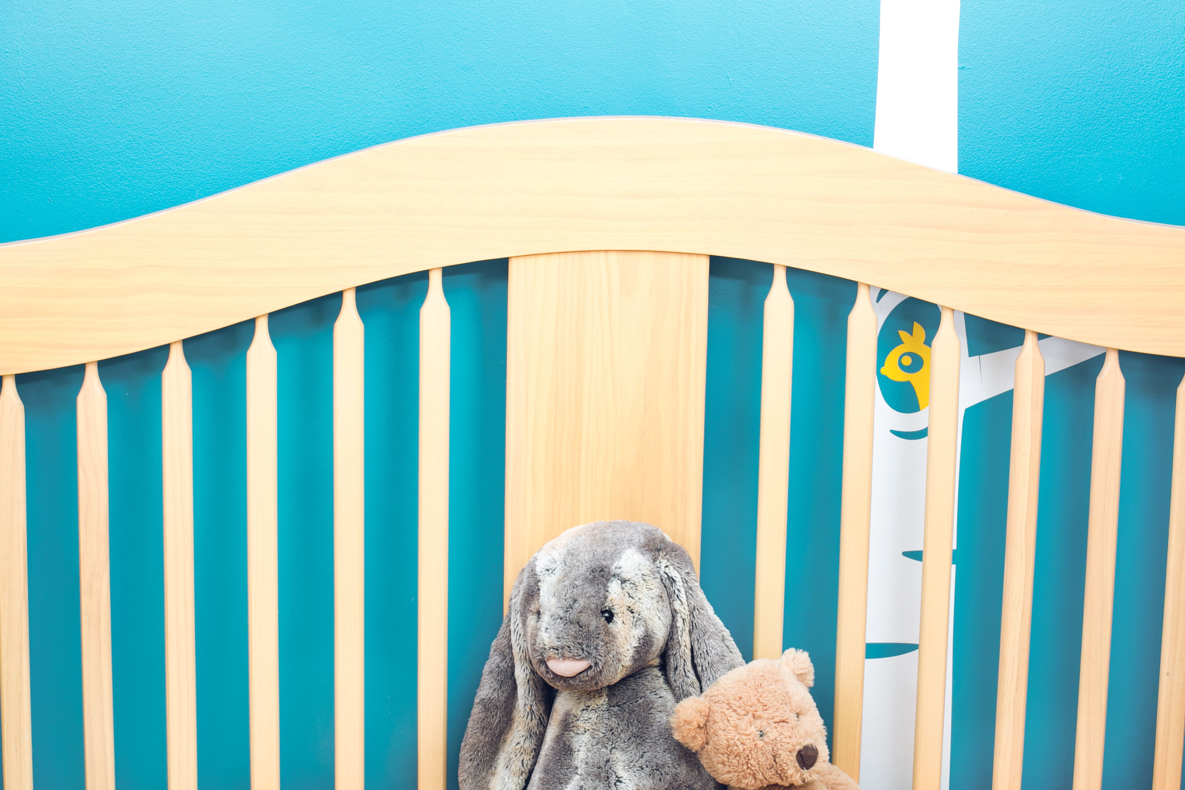 Baby nursery crib design