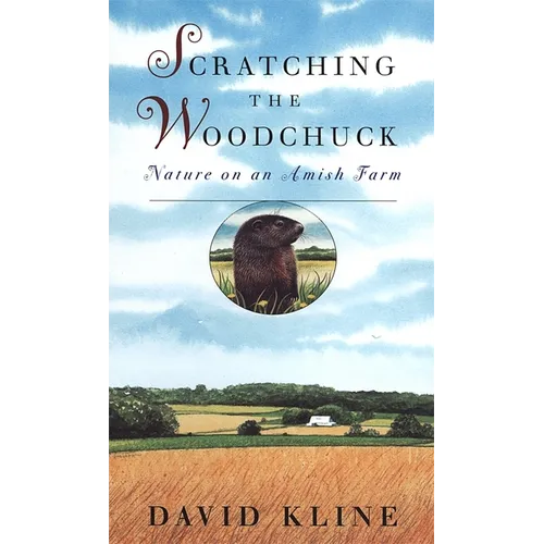 Scratching the Woodchuck: Nature on an Amish Farm - Paperback