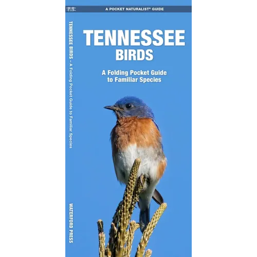 Tennessee Birds: A Folding Pocket Guide to Familiar Species