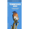 Tennessee Birds: A Folding Pocket Guide to Familiar Species