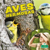 Aves Hermosas (Beautiful Birds) - Paperback