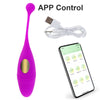 Purple APP