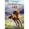 A Horse Named Sky - Hardcover