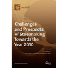 Challenges and Prospects of Steelmaking Towards the Year 2050 - Hardcover