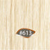 613