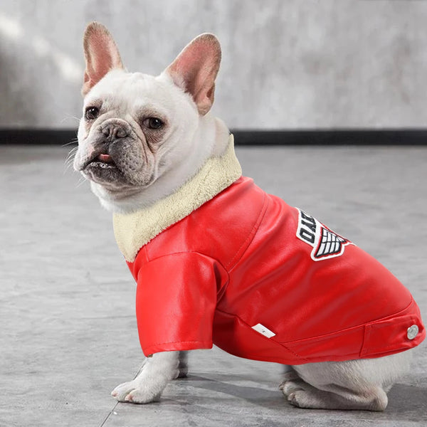 Pet Clothing Small Medium Dogs and Cats