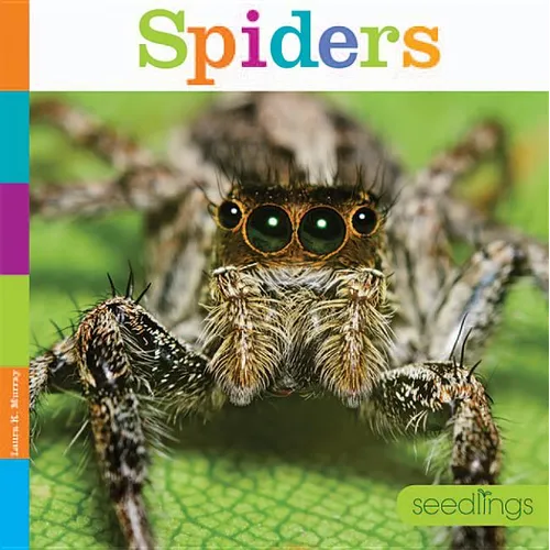 Spiders - Paperback
