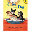Kitten for a Day - Paperback