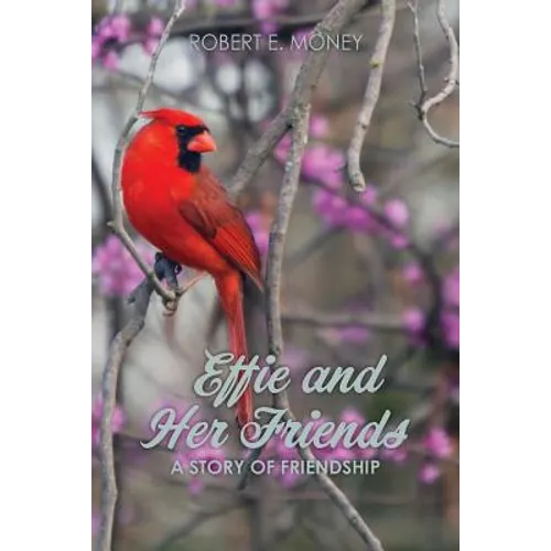 Effie and Her Friends: A Story of Friendship - Paperback
