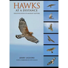 Hawks at a Distance: Identification of Migrant Raptors - Paperback