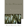 In the Aftermath: Provocations and Laments - Paperback