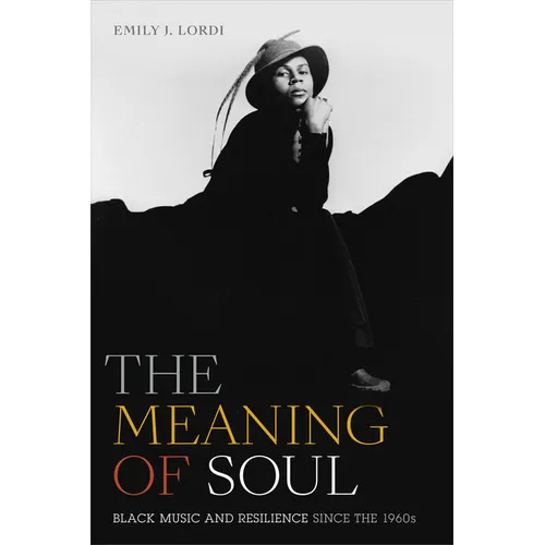 The Meaning of Soul: Black Music and Resilience Since the 1960s - Hardcover