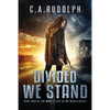 Divided We Stand: Book Four of the What's Left of My World Series - Paperback