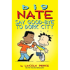 Big Nate: Say Good-Bye to Dork City: Volume 12 - Paperback