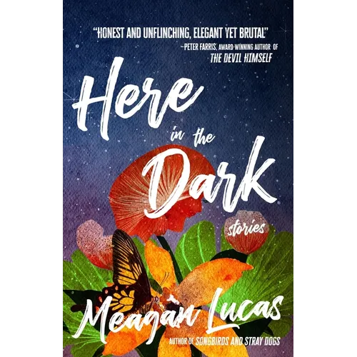 Here in the Dark: Stories - Paperback