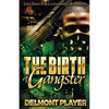 The Birth of a Gangster - Paperback