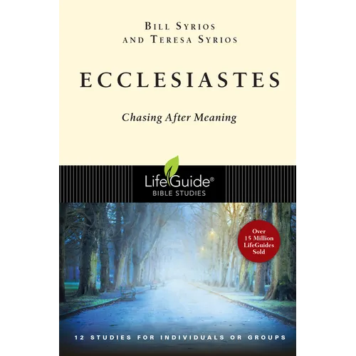 Ecclesiastes: Chasing After Meaning - Paperback