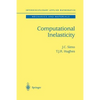 Computational Inelasticity - Paperback