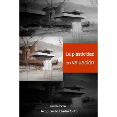 La Plasticidad En Valuación - Paperback