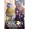 Reincarnated as a Dragon Hatchling (Light Novel) Vol. 8 - Paperback