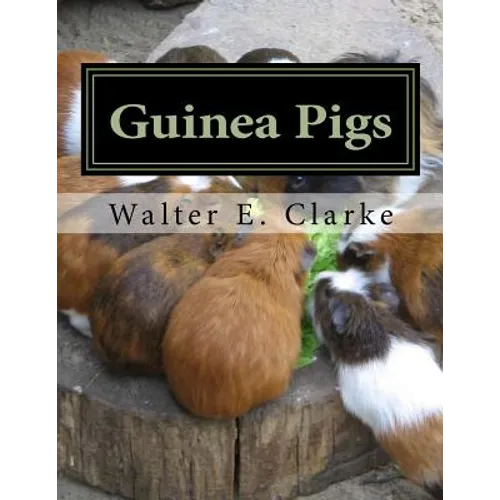 Guinea Pigs: A Practical Treatise on their Breeding, Feeding and Management of Cavies - Paperback