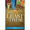 The Least of These: One Man's Remarkable Journey in the Fight Against Child Trafficking - Paperback