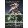 His Secret Illuminations - Paperback