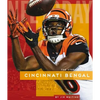 Cincinnati Bengals - Paperback