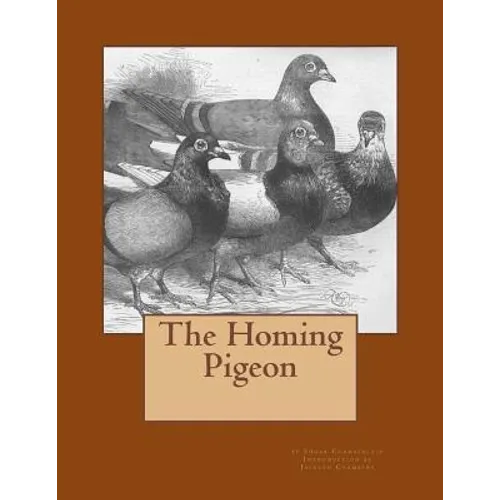 The Homing Pigeon - Paperback