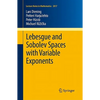 Lebesgue and Sobolev Spaces with Variable Exponents - Paperback