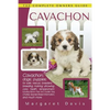 Cavachon - Paperback