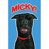 Micky! - Paperback