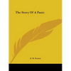 The Story Of A Panic - Paperback