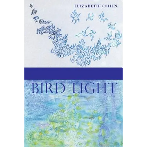 Bird Light - Paperback