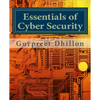 Essentials of Cyber Security - Paperback
