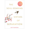 The Soul-Soaring Virtues of Separation: 111 Learnings to Heal Your Heart and Help You Fly - Paperback