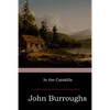 In the Catskills - Paperback