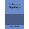 Wanderings of a naturalist in India: the western Himalayas, and Cashmere - Paperback