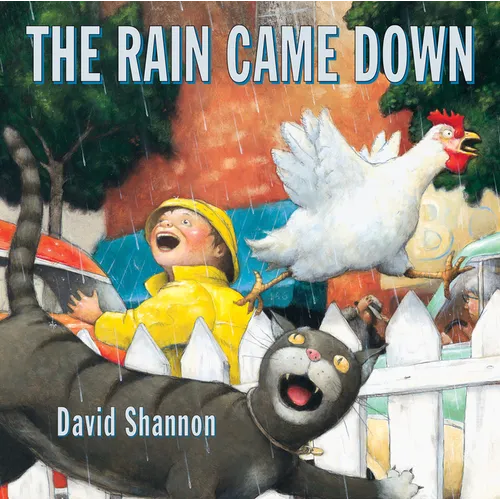 The Rain Came Down - Hardcover