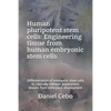 Human Pluripotent Stem Cells: Engineering Tissue from Human Embryonic Stem Cells: Differentiation of Embryonic Stem Cells to Clinically Relevant Pop - Paperback
