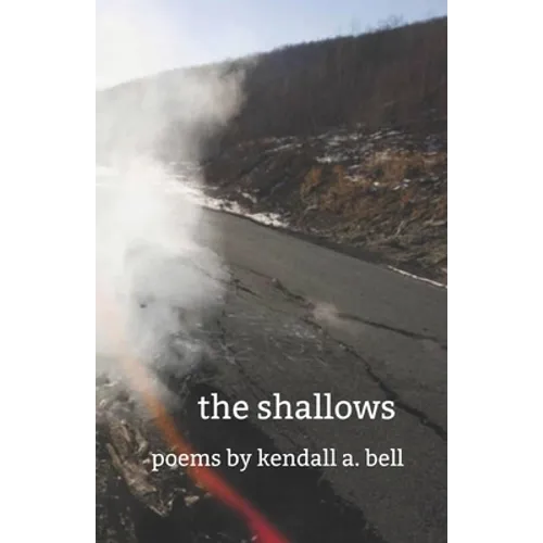 The shallows - Paperback