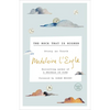 The Rock That Is Higher: Story as Truth - Paperback