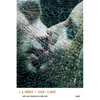 Crash - Paperback