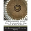 Interim Enhanced Surface Water Treatment Rule: What Does It Mean to You? - Paperback
