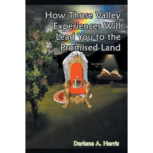 How Those Valley Experiences Will Lead You to the Promised Land - Paperback