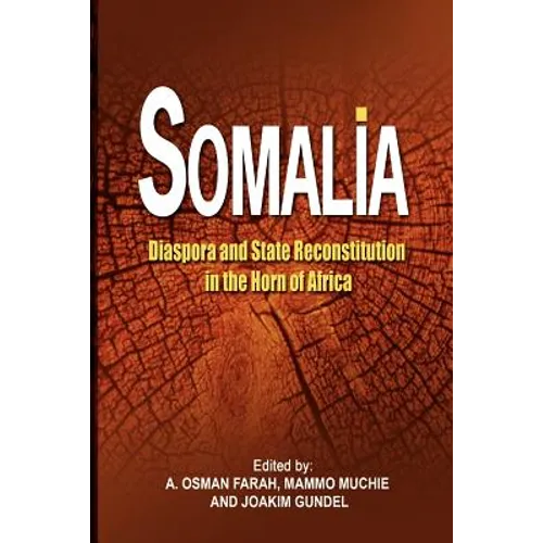Somalia: Diaspora and State Reconstitution in the Horn of Africa - Paperback