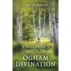 Beginner's Guide to Ogham Divination - Paperback