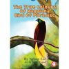 The True Colours Of Raggiana Bird Of Paradise - Paperback